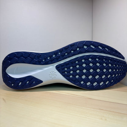 NIKE Pegasus 41 Laufschuh FD2722-014 - mit Box OHNE Deckel